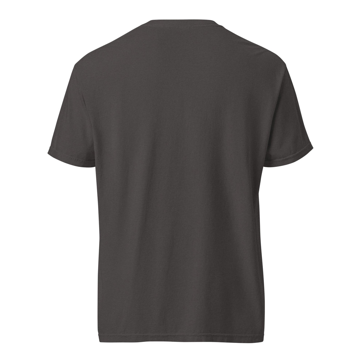 Colombia coffee tee - garment dyed -premium weight t-shirt - coffee lover gift - graphite - back - Twin Pikes Roastery
