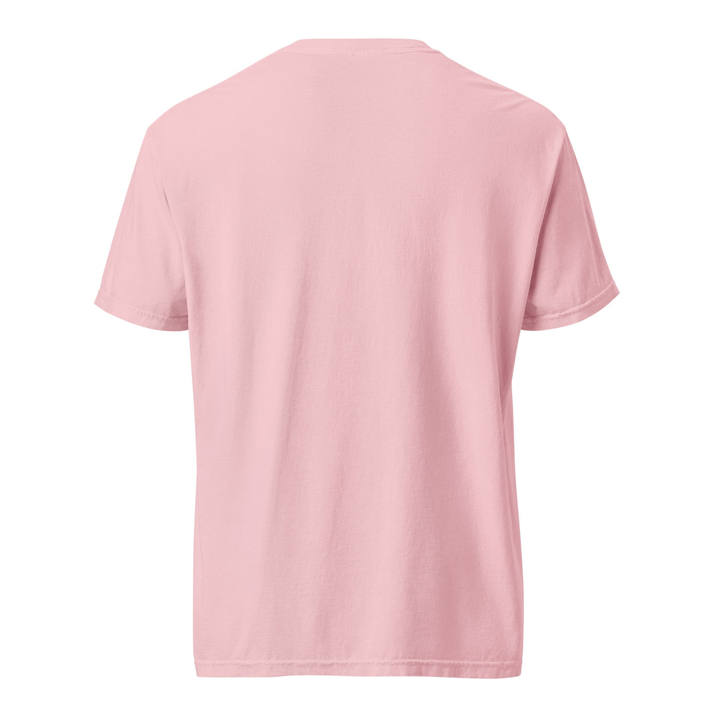 Costa Rica Light garment - dyed heavyweight t-shirt - Twin Pikes Roastery