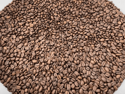 Single Origin Dacaffinated Coffee 22 pound Wholesale - Twin Pikes Roastery