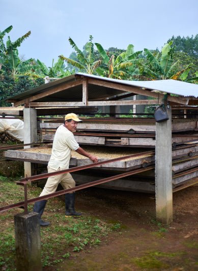 Colombia Coffee Bean Farmer - Twin Pikes Roastery