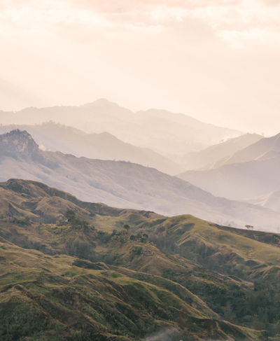 Papua New Guinea - Twin Pikes Roastery